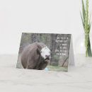 Search for to moo birthday cards Funny