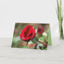 Search for red rose birthday cards Happy
