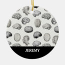 Search for brain ornaments Psychology