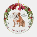 Search for english bulldog ornaments Pet