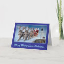 Search for maine coon cat christmas cards Santa