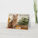 Search for meowy christmas cards Merry