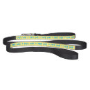 Search for pet leashes Walk
