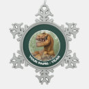 Search for the good dinosaur ornaments Spot
