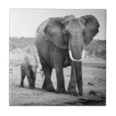 Search for elephant tiles Black and white