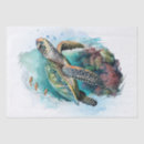 Search for sea turtle tissue paper Underwater