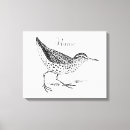Search for bluebird drawing art Nature