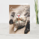 Search for new pet cat congratulations cards Kitten