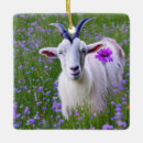 Search for goat ornaments Cute