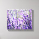 Search for floral canvas prints Nature