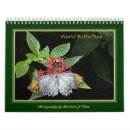 Search for moth calendars Insect