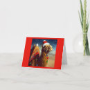 Search for hump day camel santa cards Celebration