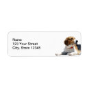 Search for beagle return address labels Animals