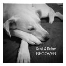 Search for get well soon posters Recovery