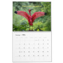 Search for pelican calendars Peacock