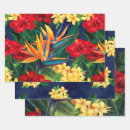 Search for floral wrapping paper Hawaiian