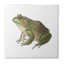 Search for frog tiles Animal