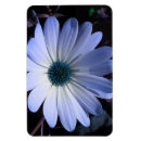 Search for 3x4 photo magnets Flowers
