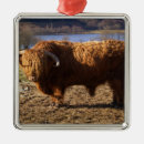 Search for scottish highland cow ornaments Bull