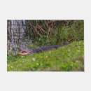 Search for alligator garden decor Nature