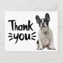 Search for black and white french bulldog cards Cute