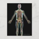 Search for transparent postcards Illustration