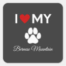 Search for bernese mountain dog stickers Puppies