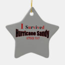Search for hurricane ornaments Survived