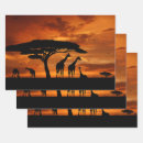 Search for sunset wrapping paper Silhouette