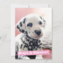 Search for dalmatian invitations Funny