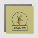 Search for deer bumper stickers Car