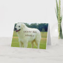 Search for big brother holiday cards For him