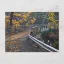 Search for connecticut postcards Foliage