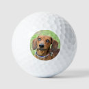 Search for dachshund golf balls Cute