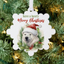 Search for polar bear christmas cards Santa claus