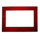 Search for bubble picture frames Background
