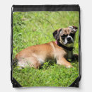 Search for pug bags Brown