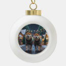 Search for shiba inu ornaments Pet