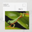 Search for tree postcards Jungle
