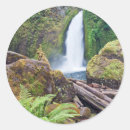 Search for oregon stickers Green