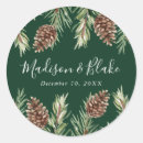 Search for pinecone stickers Watercolor