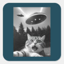 Search for funny cat stickers Ufo