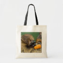 Search for sloth gifts Cute animals