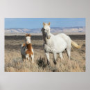 Search for horse posters Mare