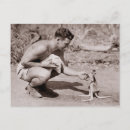 Search for kangaroos postcards australian