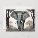 Search for black and white postcards Illustration