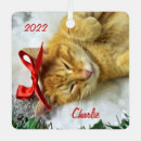 Search for tabby cat ornaments Pet