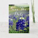 Search for state of texas invitations Texan