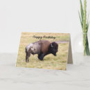 Search for bison birthday cards Wyoming