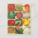 Search for vintage food postcards Fruits